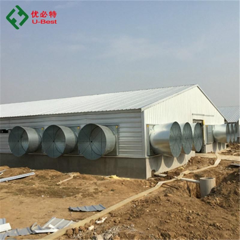 Poultry Farm Laying Hens Equipment System Automatic Battery Layer Chicken Brooder Cage