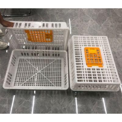 The Transfer Basket for Transfer Chicks and Adult Chickens
