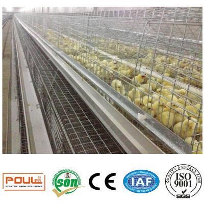 Multifunctional Baby Chicken Raising Equipment