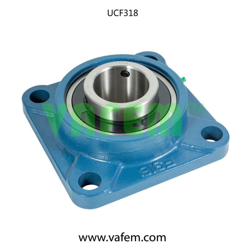 Casting Housing P209/Bearing Housing/China Factory/Quality Certified