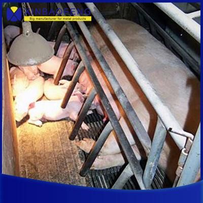Good Quality Farm Equipment Sow Farrowing Crates