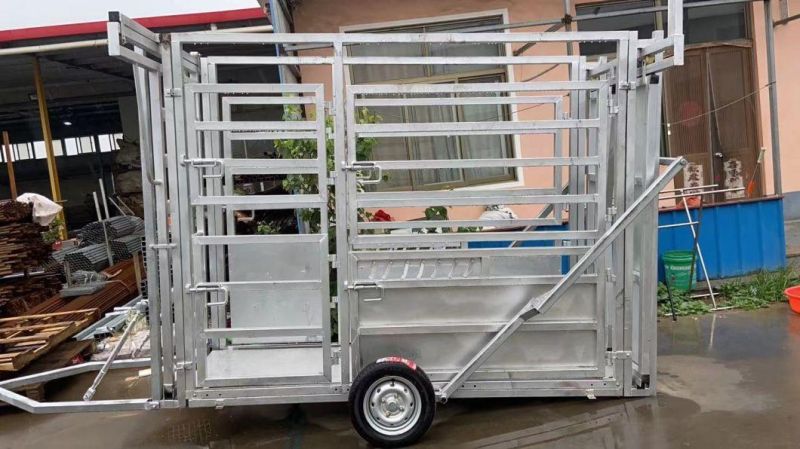 Hot DIP Galvanized Epidemic Prevention Hoof Trimming Weight Cattle Crush Cattle Squeeze