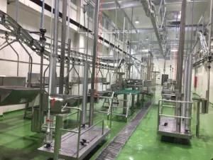 Cattle Slaughter House Equipment with Beef Production Line