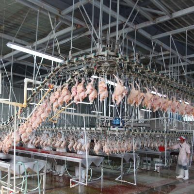 Smaller Capacity Chicken Slaughtering Line / Chicken Plucking Machine