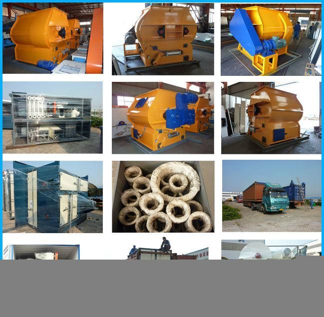 Chain Plate Conveyor for Yellow Corn Animal Feed