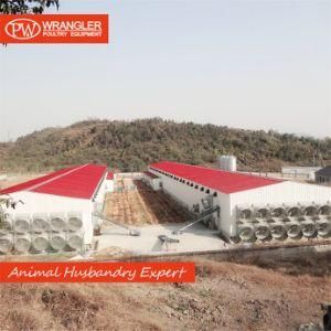 Pw Complete Automatic Poultry Equipment for Chicken Broiler/Breeder Farm