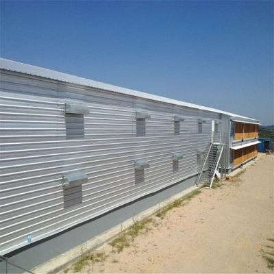 Quickly Built Good Usage Easily Feed Steel Chicken Poultry