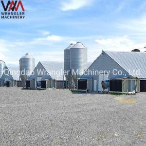 Steel Feed Tower Silo for Pig Farm and Chicken Farm