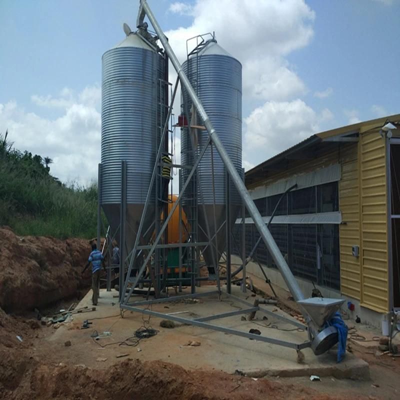 Steel Structure Chicken House with Automatic Equipment for Both Laying Hens and Broilers