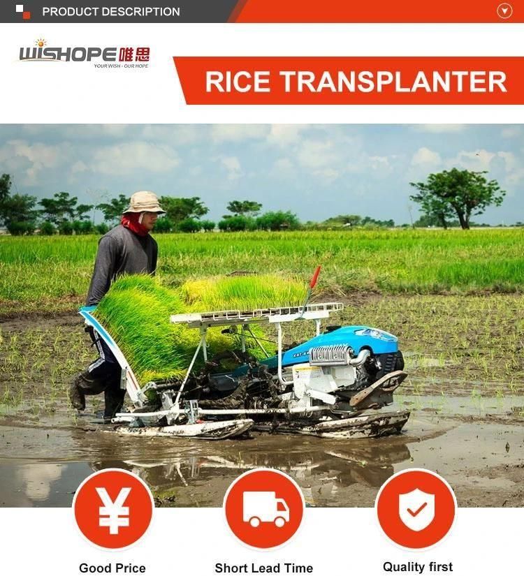 4 Row Manual Walking Behind Kubota Similar Rice Planting Transplanter