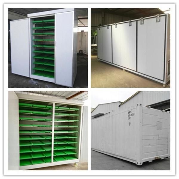 500kg/d Hydroponic Fodder Growing Container HP-500H