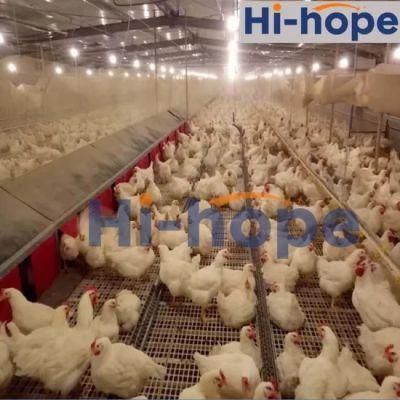 Poultry Breeder Automatic Chain Feeding System