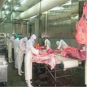 Goat Abattoir Equipment