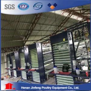 Layer Chicken Cage with Automatic Equipment for Poultry Farms