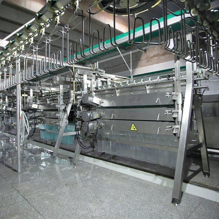 Abattoir Equipment Halal Chicken Slaughter Machine for Sale