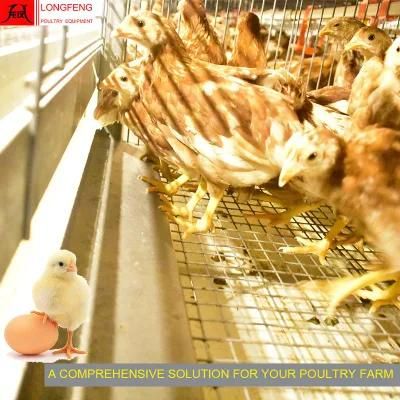 Hot Galvanized Provide on-Site Installation Instruction Poultry Equipment Pullet Layer Chicken Cage