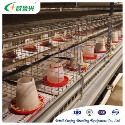 Broiler Chicken Cage and Laying Battery Hens Cage Poultry Farming Equipment