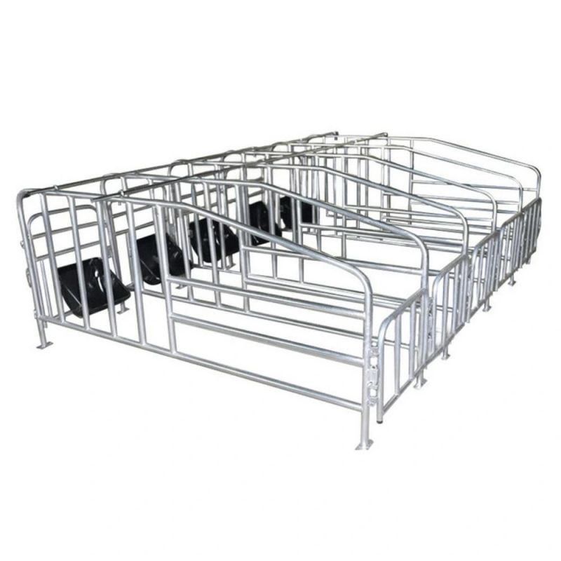 Galvanized Cages Pig Farm Machine for Sale