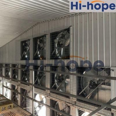 Philippines Modern Animal Cage Poultry Equipment with Chicken House Building