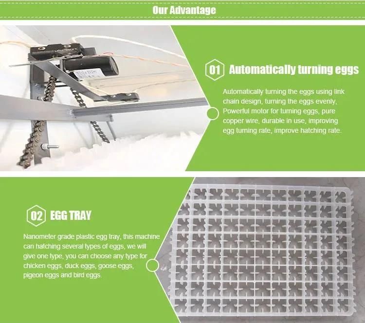 Automaticalc Chicken Eggs Incubator and Hatcher Egg Incubator