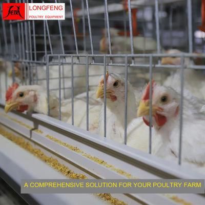 Reliable and Safety Longfeng Standard Packing Egg Incubator Broiler Chicken Cage