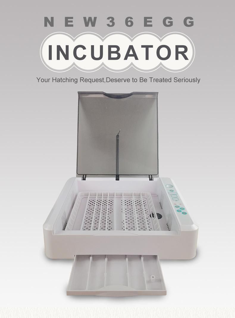 Hhd New Arraival Mini 36 Chicken Egg Incubator Ew-36
