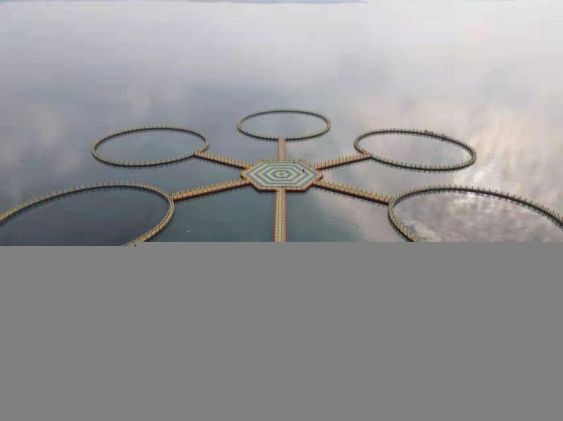 Aquaculture Cage Diameter 20m for Deep Tilapia