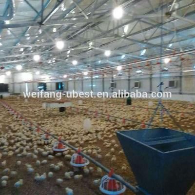 Tunnel Ventilation System Poultry Farm Bird House for Chicken Barn