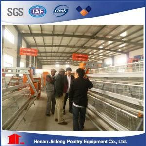Automatic Pullet Chicken Birds&prime; Poultry Cages for Farm Use