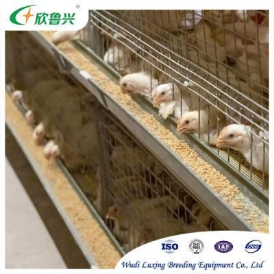 Broiler Automatic Chicken Rearing Equipment H Type Broiler Breeding Cage for Chicken Coop