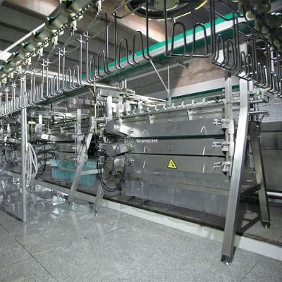 100-1000bph Halal Chicken Slaughter House Machinery Processing Line