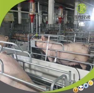 High Survival Rate Pig Farm Equipment Sow Farrowing Pen