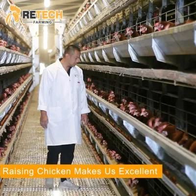 Made in China automatic chicken cages poultry farm