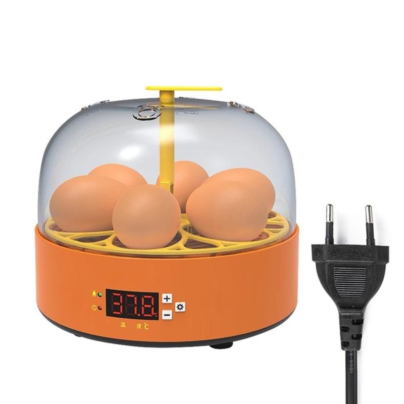 Automatic Eggs Turning Temperature Control 6 Eggs Children Experimental Eggs Incubator Chicken Incubator Eggs Hatching Machine