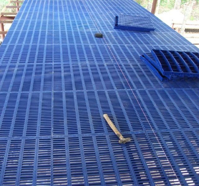 Plastic Flooring for Poultry Farming Used Plastic Floors for Pigs Sale