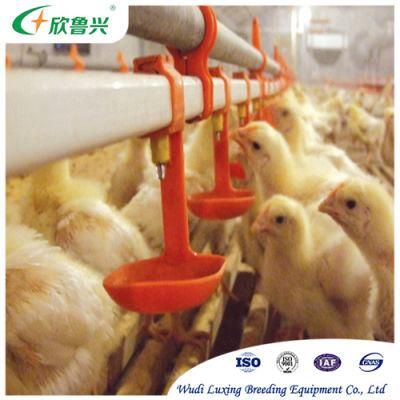 Wholesale Price Stainless Steel Poultry Nipple Drinker for Broiler Chicken Drinking