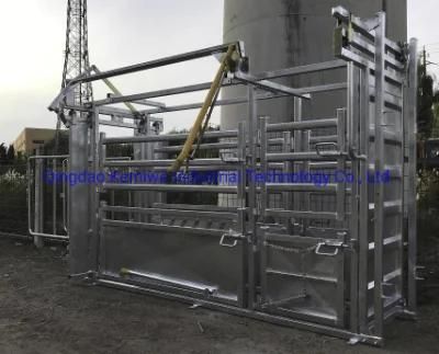 Livestock Equipment High Quality Galvanized Cattle Chute Cattle Crush