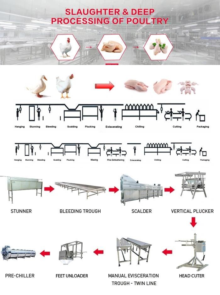 300-800bph Chicken Plucking Slaughtering Machine Slaughterhouse