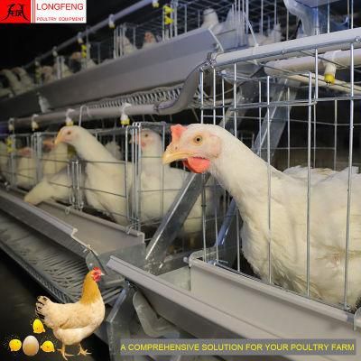Manufacture Longfeng China Poultry Farm Layer Cages a Type Battery Chicken Cage