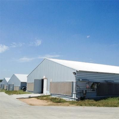 Prefab Hot Sale Customized Scientific Feeding System Poultry Equipment