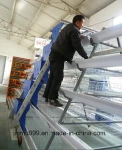 High Quality Steel Poultry House Chicken Farm Equipment