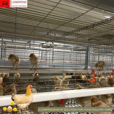 High Density Large Scale Poultry Stable Running Good Service Professional Layer Cage with Cheap Price