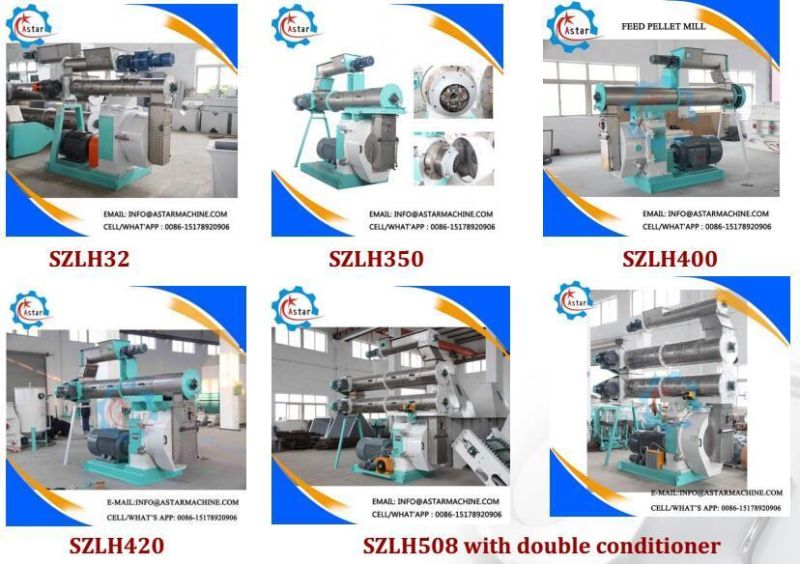 1-20t/H Stainless Steel Chicken Livestock Cattle Pig Fish Poultry Feed Pellet Making Machine Fish Food Processing Line