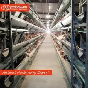 Hot Galvanized Automatic Chicken Farm Poultry Battery Cage System/Battery Layer Poultry Cage