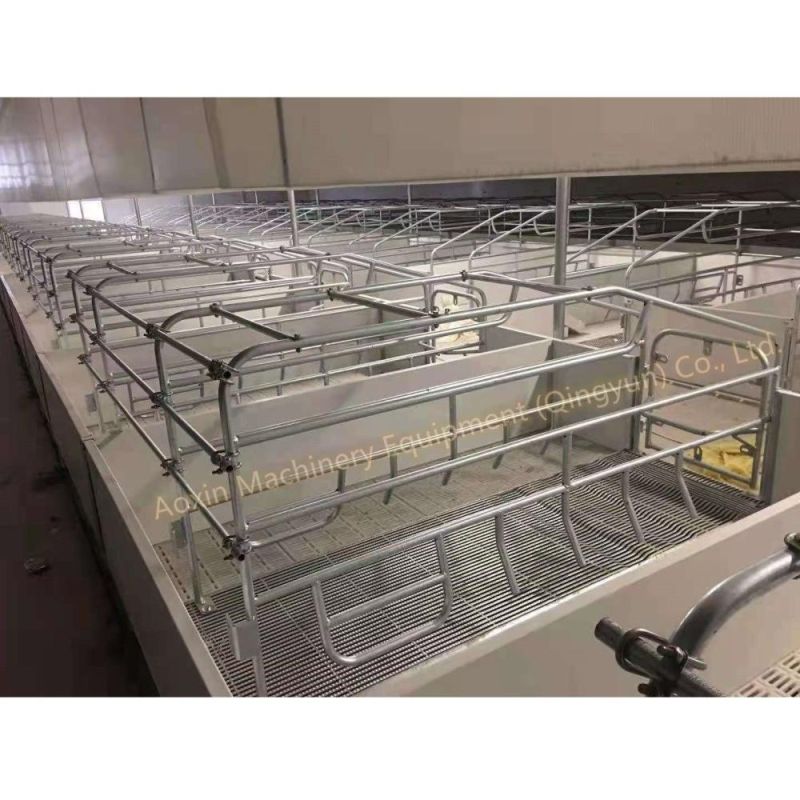 Hot Sale Sow Gestation Fence Livestock Piggery Machinery