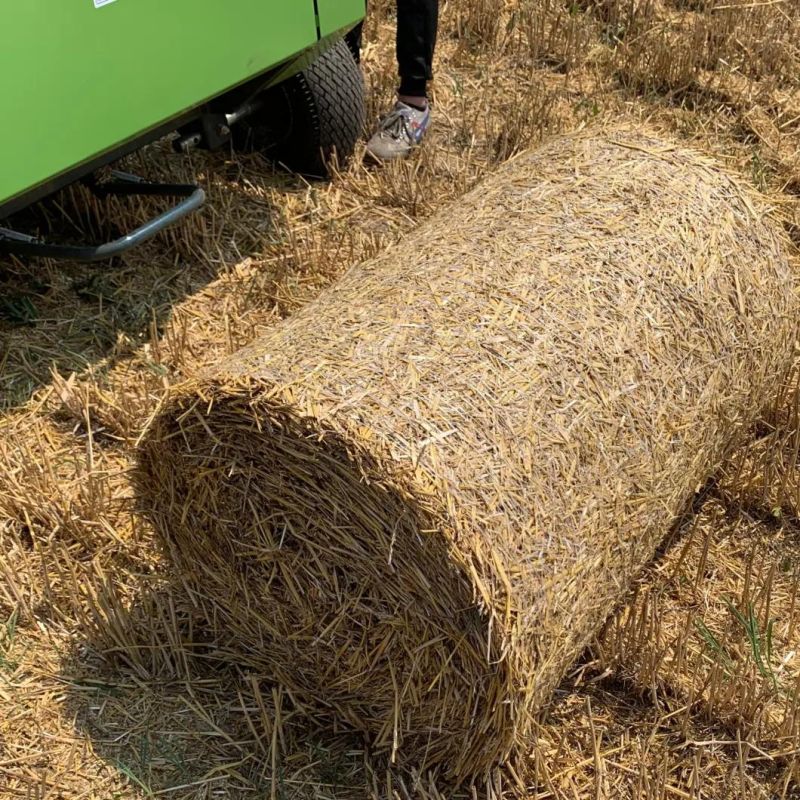 Machinery After-Sales Service Provided Pine Straw Hay Baler for Sale