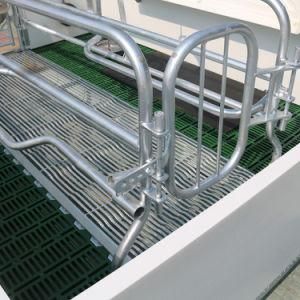 Pig Farm Equipment Galvanized Pig Farrowing Crates for Sale