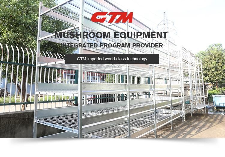 Gtm Mushroom Growing Shelves for Farm