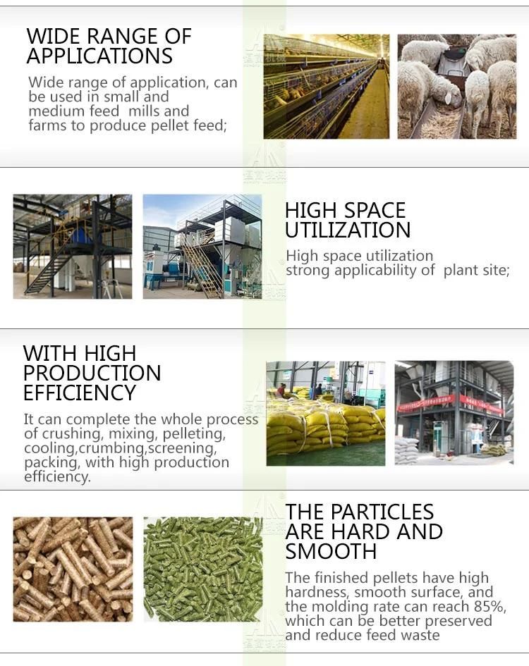 Fish Feed Pellet Machine Animal Food Pellet Processing Machine