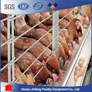 Automatic Layer Egg Hen Use Chicken Layer Battery Cage for Poultry Farms